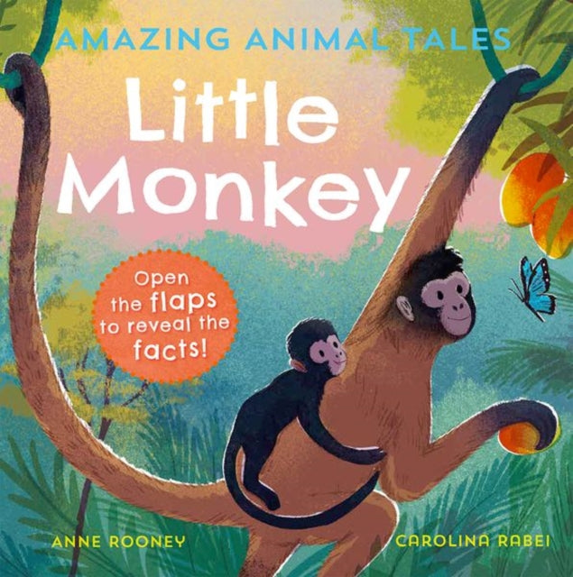 Book cover of: Amazing Animal Tales: Little Monkey. By: Anne Rooney