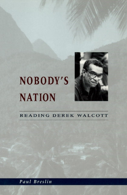 Book cover of: Nobody's Nation