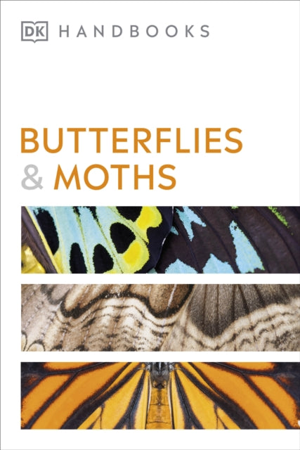 Book cover of: Butterflies and Moths. By: DK Publishing