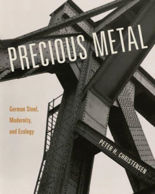 Book cover of: Precious Metal. By: Peter H. Christensen