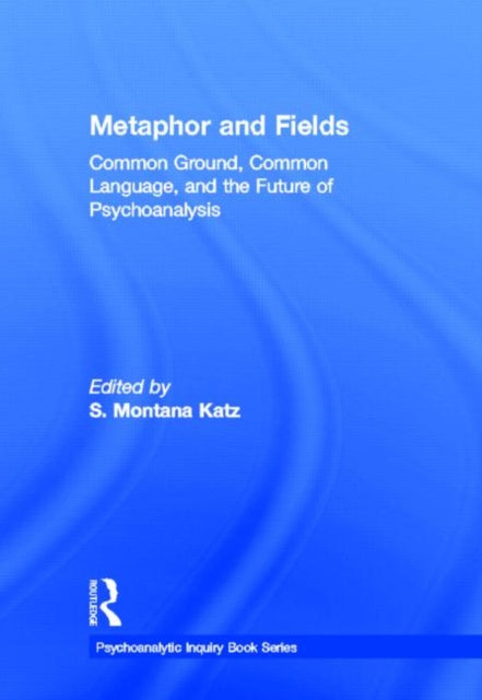 Book cover of: Metaphor and Fields. By: Montana Katz