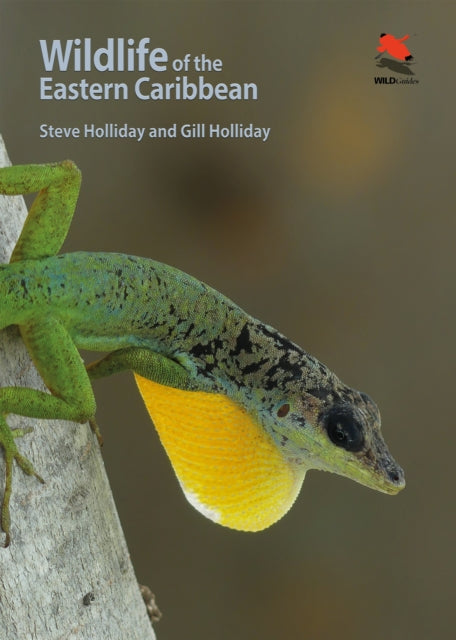 Wildlife of the Eastern Caribbean 9780691199818 Steve Holliday