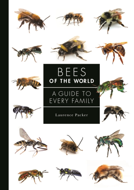 Book cover of: Bees of the World. By: Laurence Packer