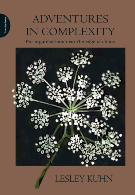 Book cover of: Adventures in Complexity. By: Lesley Kuhn