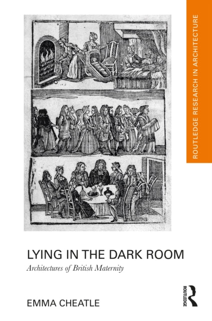 Book cover of: Lying in the Dark Room. By: Emma Cheatle