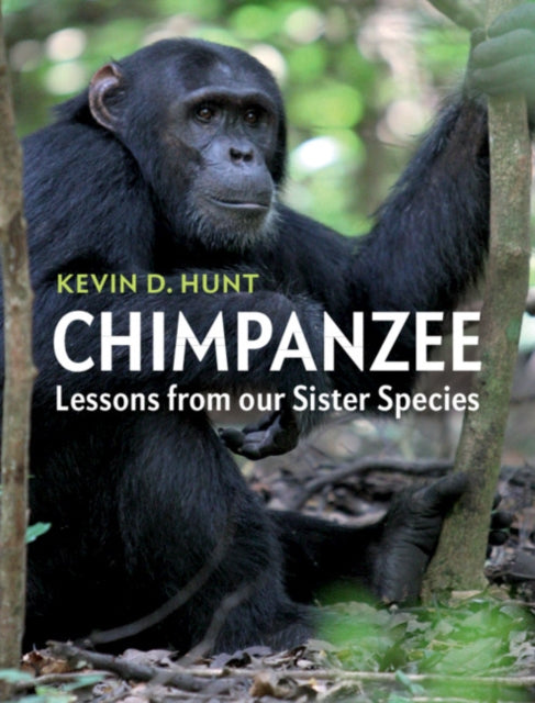 Book cover of: Chimpanzee. By: Kevin D. Hunt