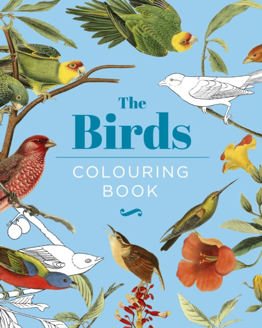 Book cover of: Birds Colouring Book