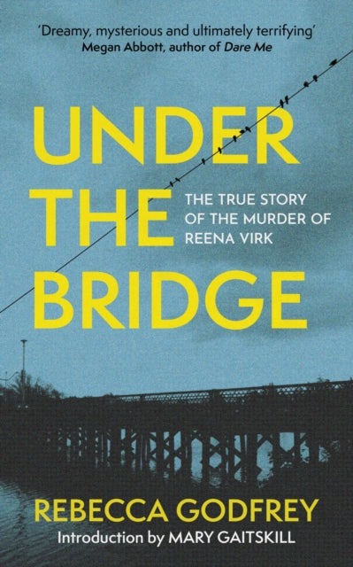 Under the Bridge, Now a Major TV Series Starring Oscar Nominee Lily Gladstone 9781399811002 Rebecca Godfrey