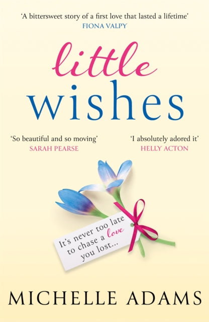 Book cover of: Little Wishes. By: Michelle Theodorou