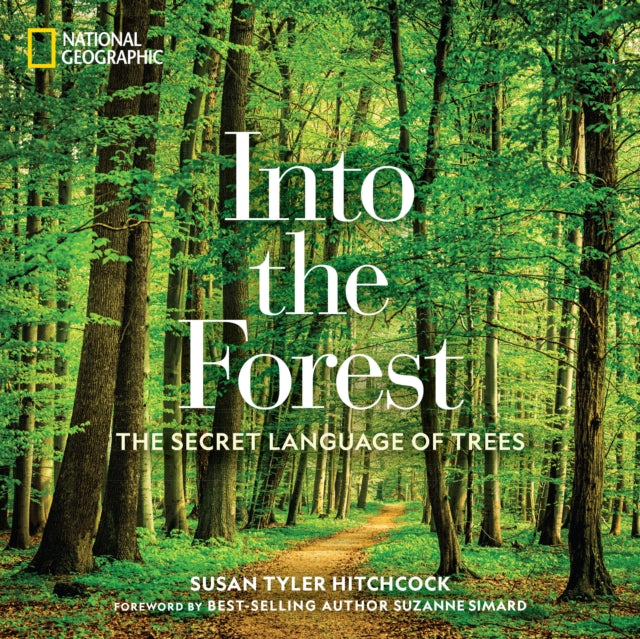 Book cover of: Into the Forest. By: Susan Hitchcock