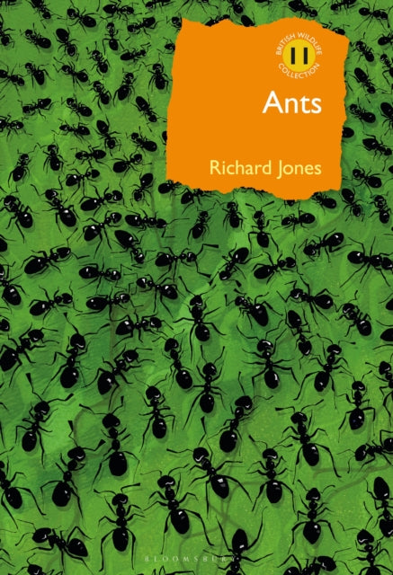 Book cover of: Ants. By: Jones, Richard