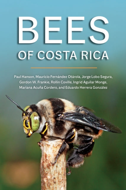 Book cover of: Bees of Costa Rica. By: Paul Hanson