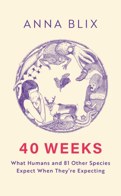 Book cover of: 40 Weeks. By: Anna Blix