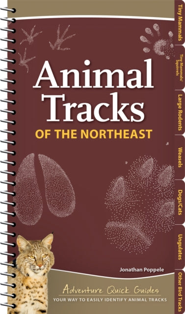 Book cover of: Animal Tracks of the Northeast. By: Jonathan Poppele