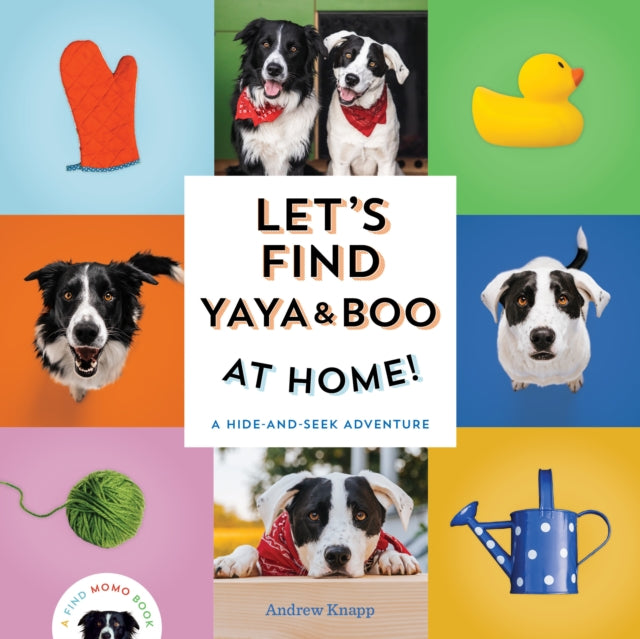 Book cover of: Let's Find Yaya and Boo at Home!. By: Andrew Knapp