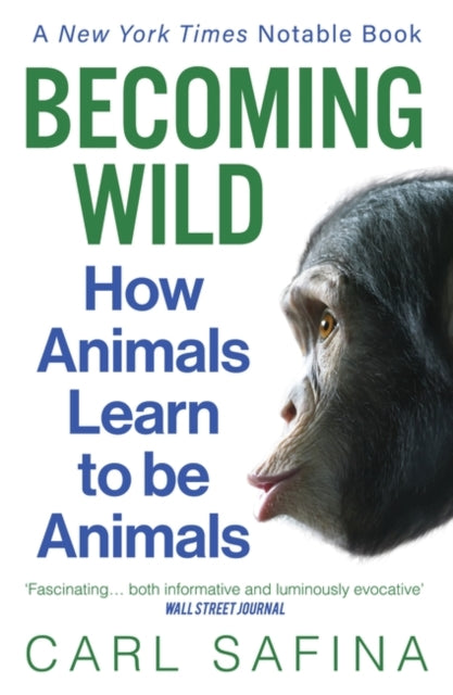 Book cover of: Becoming Wild. By: Carl Safina