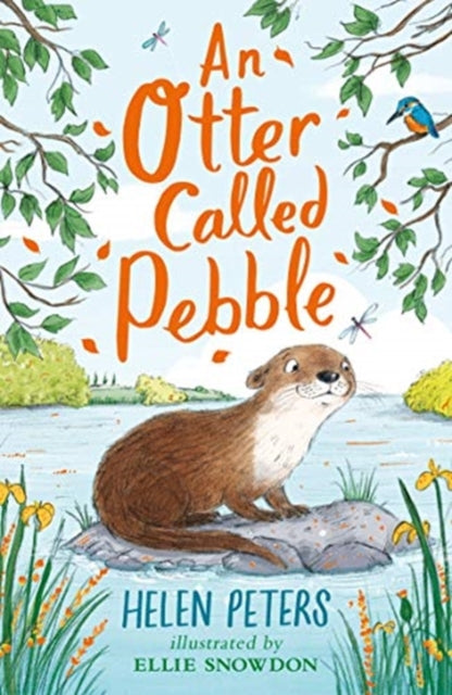 Otter Called Pebble 9781788001564 Helen Peters