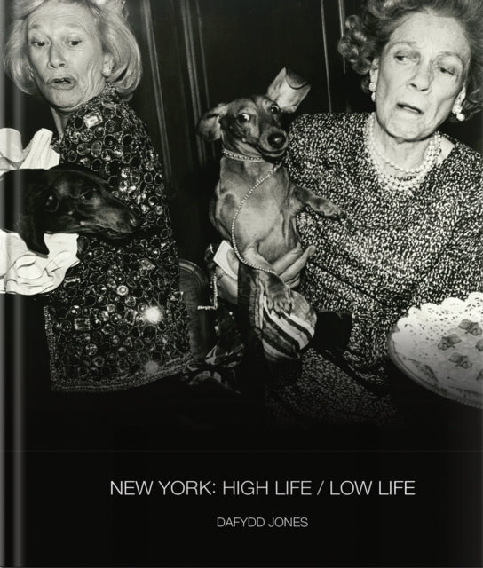 Book cover of: New York: High Life / Low Life. By: Dafydd Jones