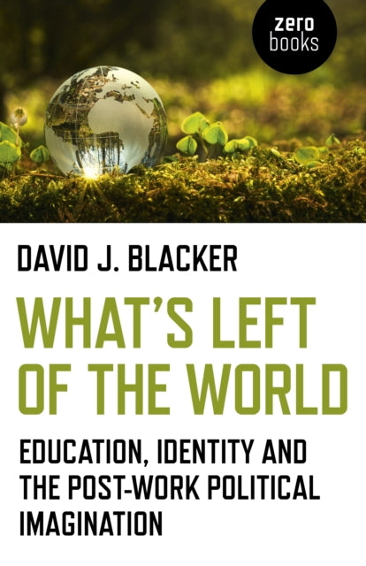 Book cover of: What's Left of the World. By: David J. Blacker