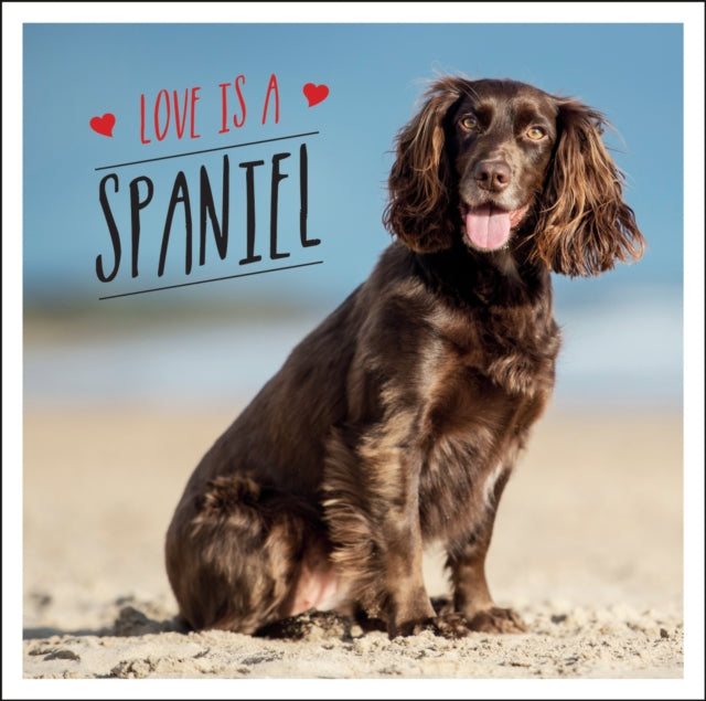 Book cover of: Love is a Spaniel. By: Charlie Ellis