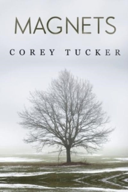 Book cover of: Magnets. By: Corey Tucker