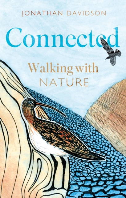 Book cover of: Connected. By: Jonathan Davidson