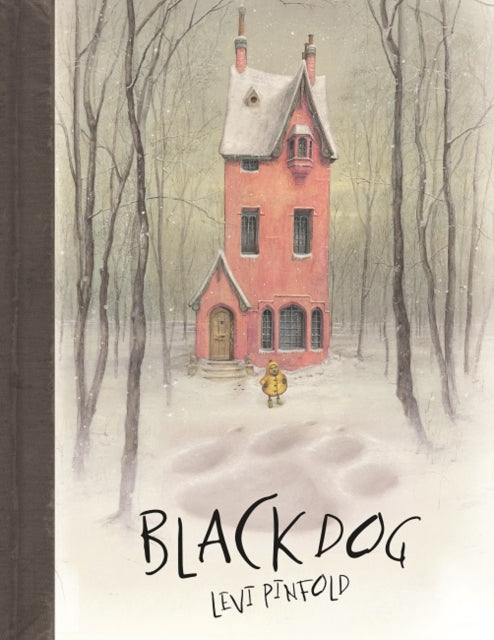 Black Dog 9781848777484 Levi Pinfold