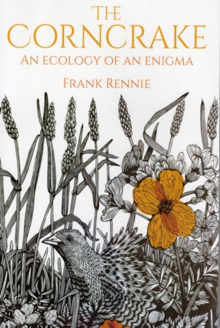 Book cover of: Corncrake. By: Frank Rennie