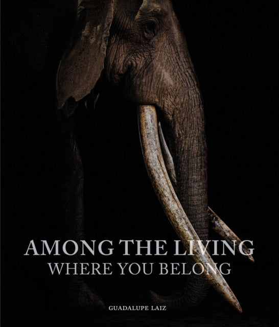 Book cover of: Among the Living. By: Skolnick LAIZ