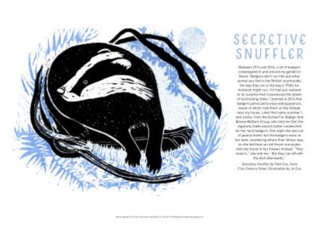 Book cover of: Tom Cox's 21st Century Yokel Poster: Secretive Snuffler