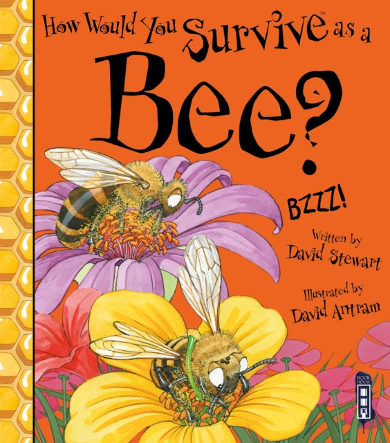 How Would You Survive As A Bee? 9781913337735 David Stewart