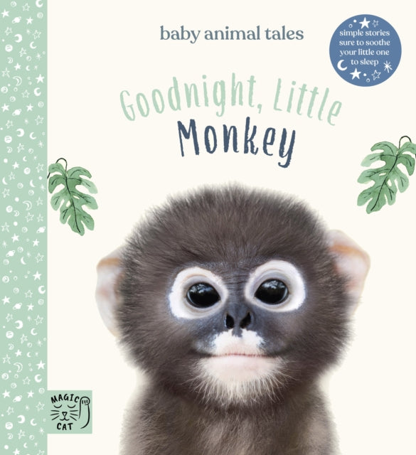 Book cover of: Goodnight, Little Monkey