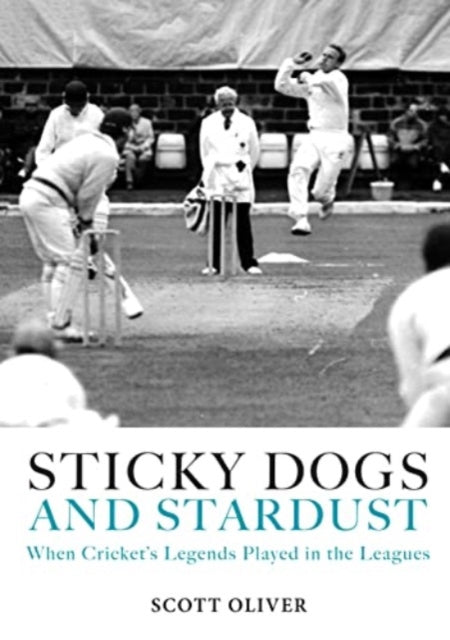 Book cover of: Sticky Dogs and Stardust. By: Scott Oliver