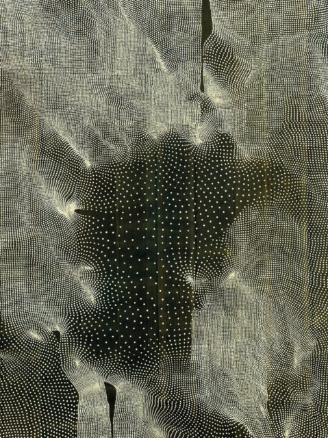 Book cover of: Linn Meyers. By: Jonathan Walz