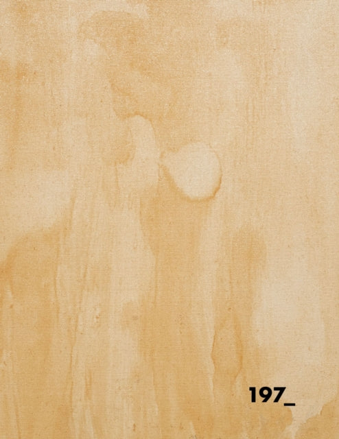 Book cover of: Excavation. By: Jason Paul Reimer