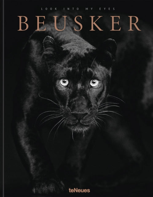 Book cover of: Beusker