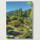 Book ISBN 5056823004942