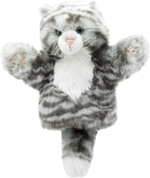Tabby Cat