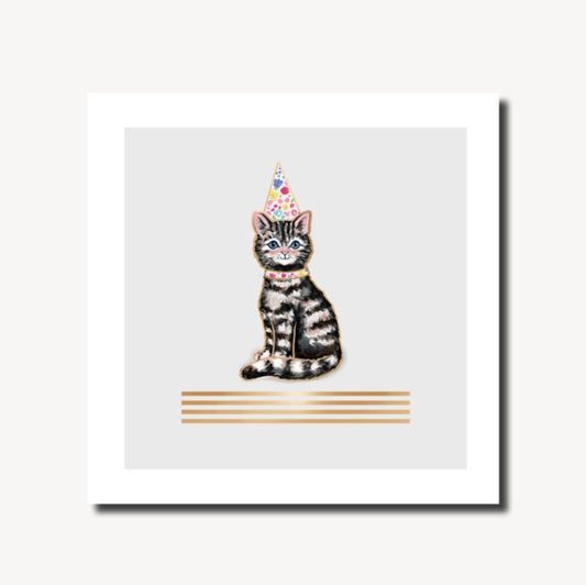 Book cover of: Brook Lane Cat Party Hat