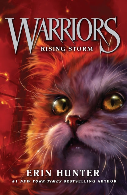Rising Storm 9780007140053 Erin Hunter