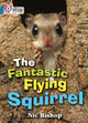 Fantastic Flying Squirrel