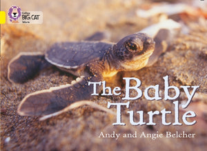 Baby Turtle, Band 03/Yellow