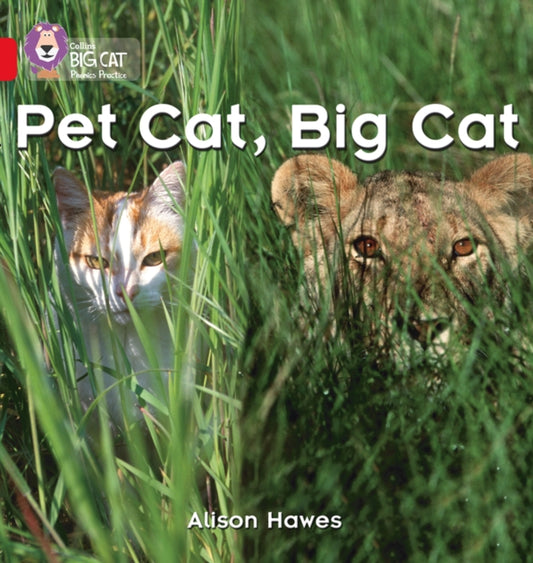 Book cover of: Pet Cat, Big Cat