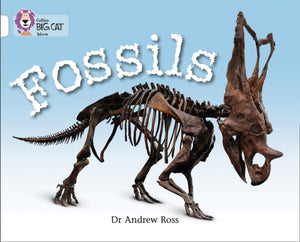 Fossils