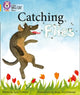 Book cover of: Catching Flies. By: June Crebbin