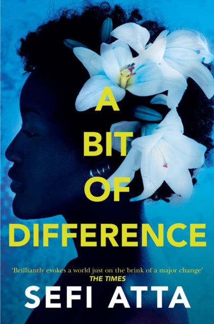 Book cover of: Bit of Difference. By: Sefi Atta