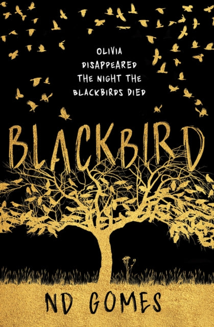Book cover of: Blackbird. By: N. D. Gomes