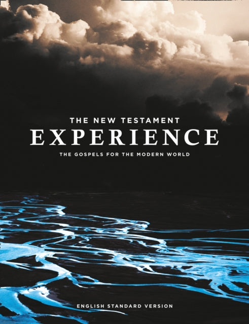 Book cover of: New Testament Experience. By: Abrupt Media