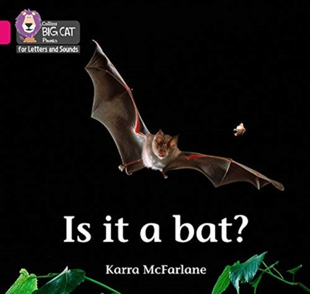 Book cover of: Is it a Bat?. By: Karra McFarlane
