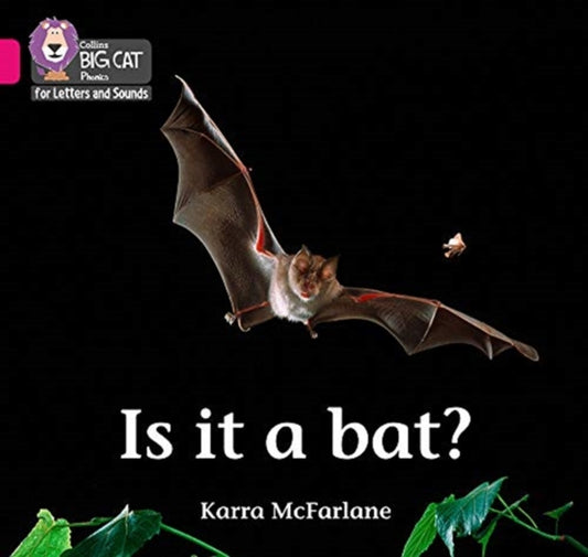 Book cover of: Is it a Bat?. By: Karra McFarlane